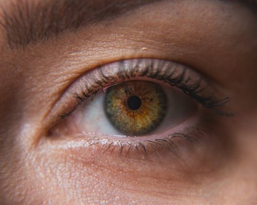 Close up of a human eye looking at green nature leaves